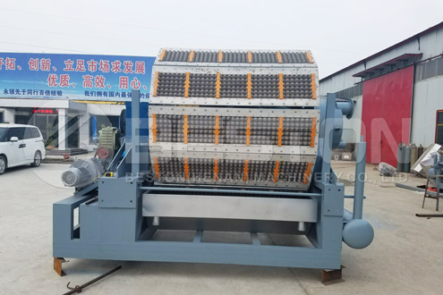 Beston Egg Tray Making Machine for Sale