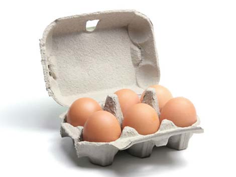 6 holes Egg Carton